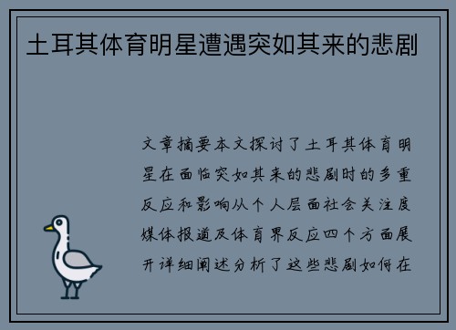 土耳其体育明星遭遇突如其来的悲剧