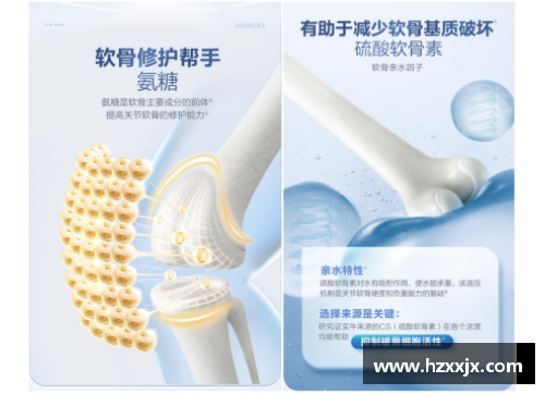 体育明星代言软骨素 打造健康关节的终极选择